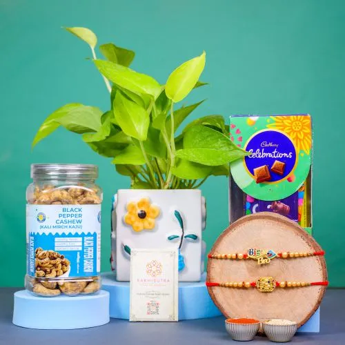 Divine Rakhi Gift: Chocolate & Greenery